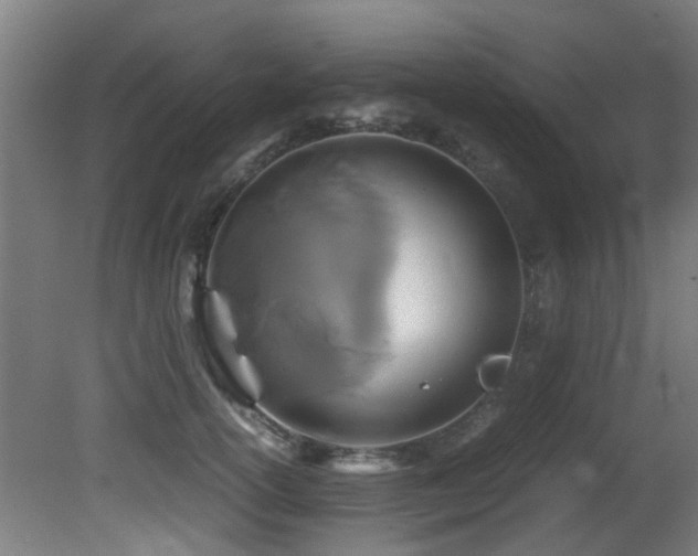 X0000081370754200701111547