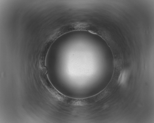 X0000081370755200701111547