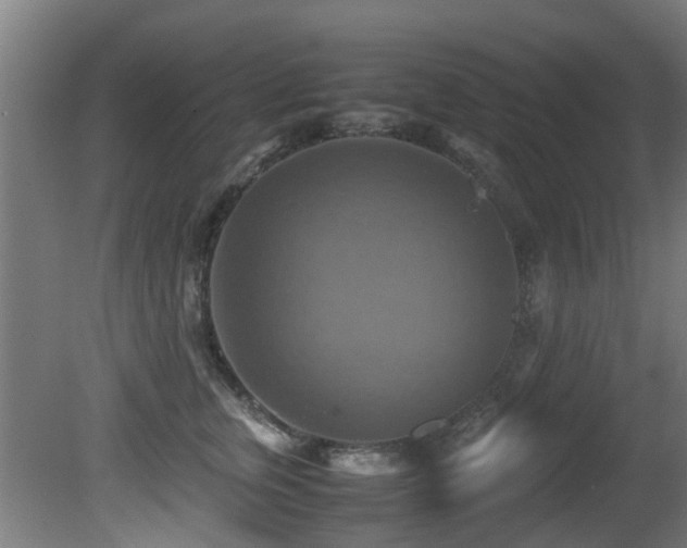X0000081370759200701111547