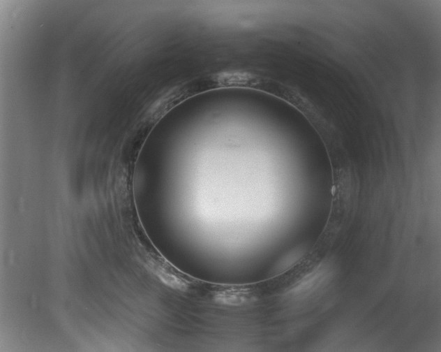 X0000081370761200701111547