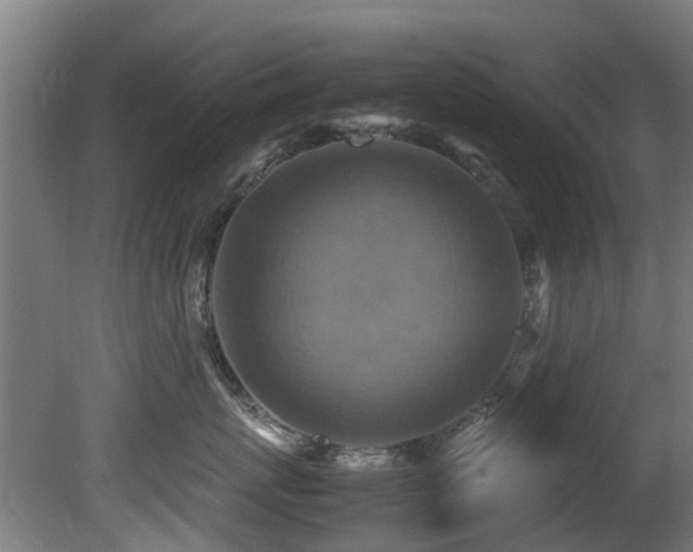 X0000081370767200701111548
