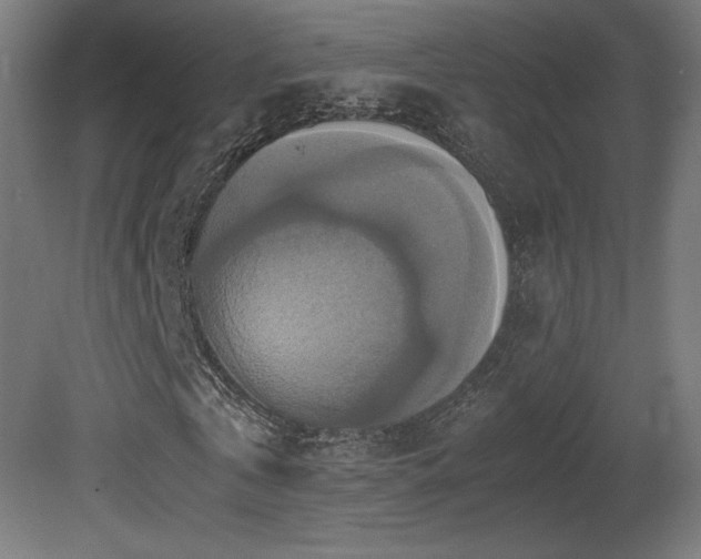 X0000081370769200701111547