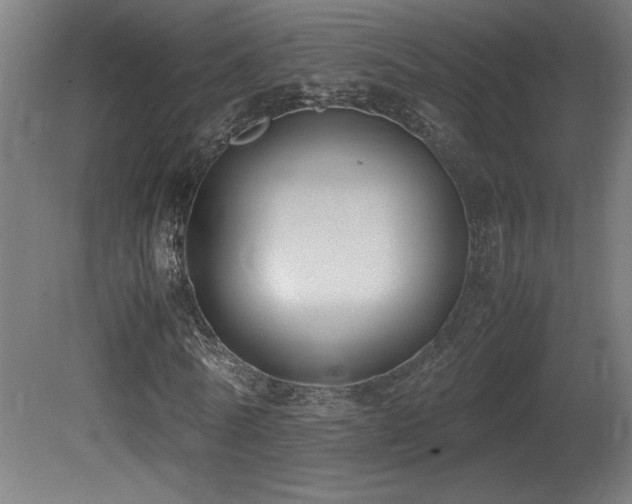 X0000081370770200701111547