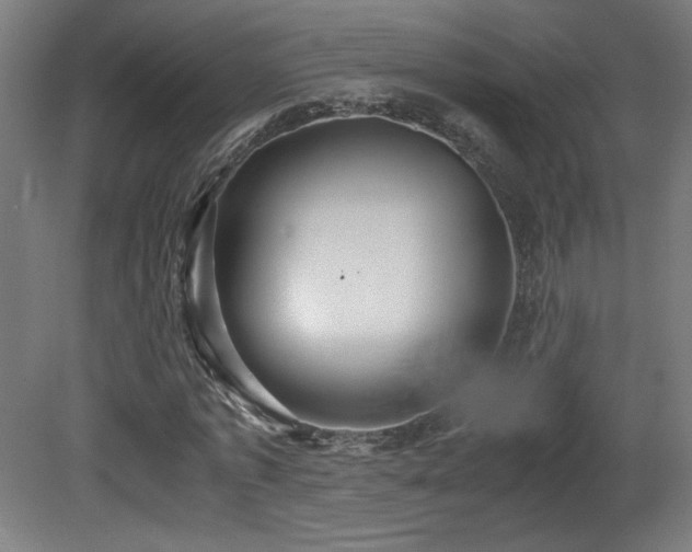 X0000081370773200701111547