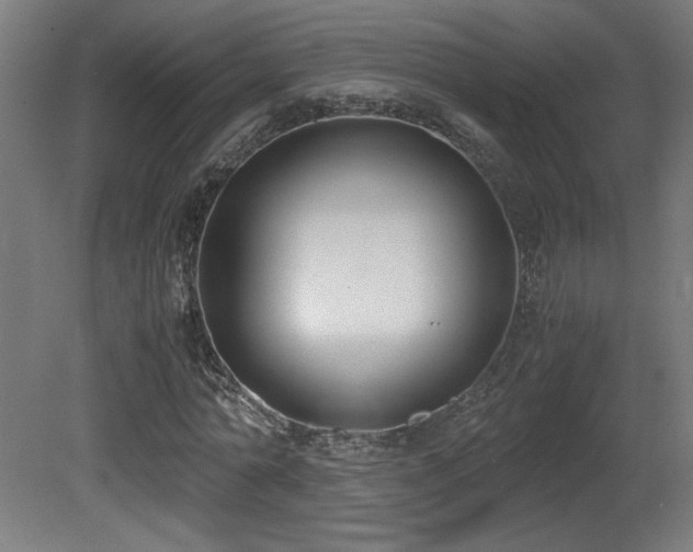 X0000081370774200701111547