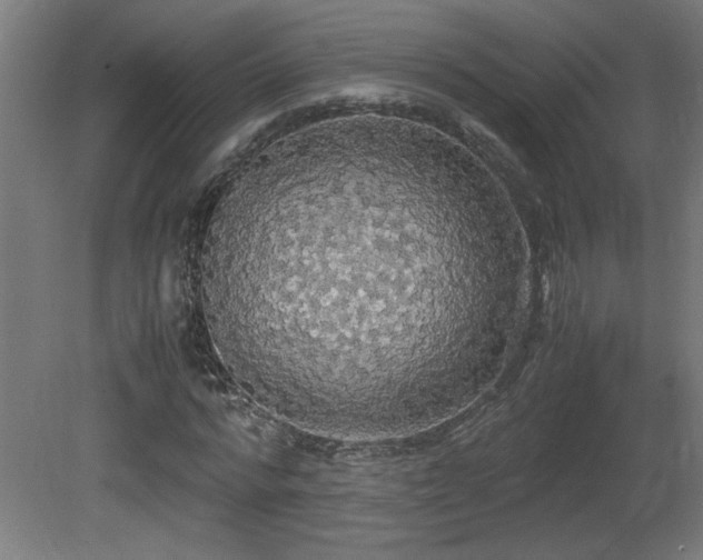 X0000081370776200701111547
