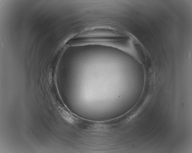 X0000081370777200701111547