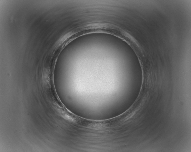 X0000081370778200701111547