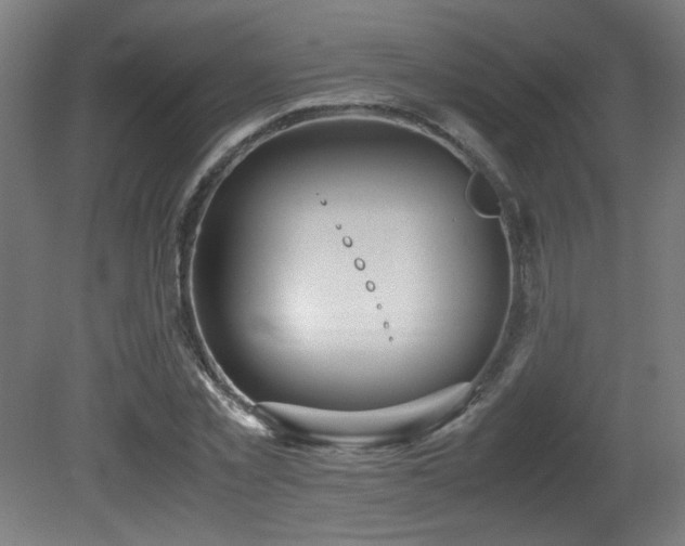X0000081370781200701111547