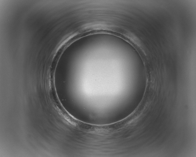 X0000081370782200701111547