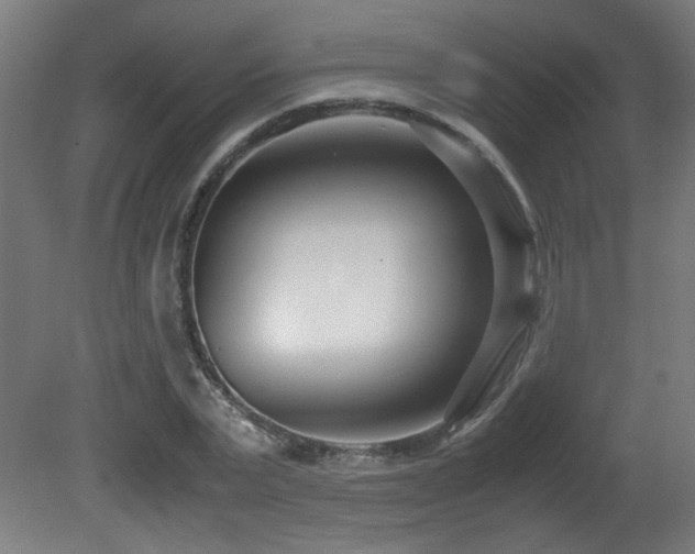 X0000081370783200701111547