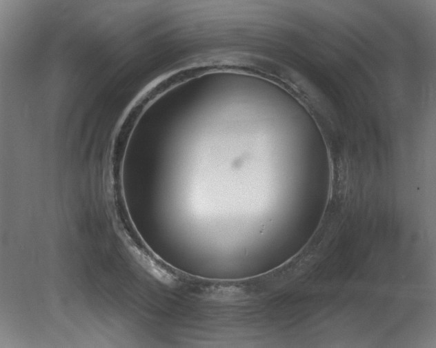 X0000081370784200701111547