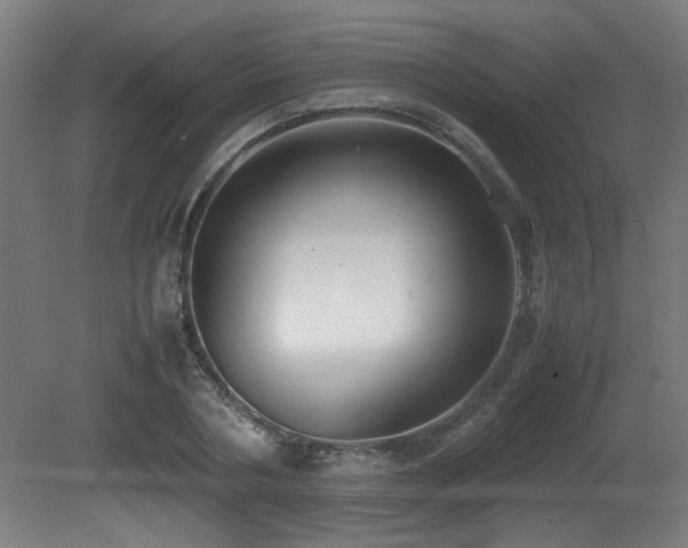 X0000081370786200701111546