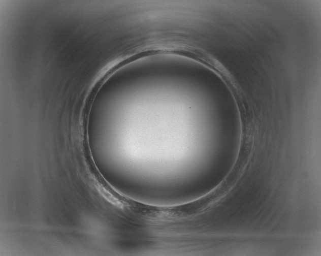 X0000081370787200701111546