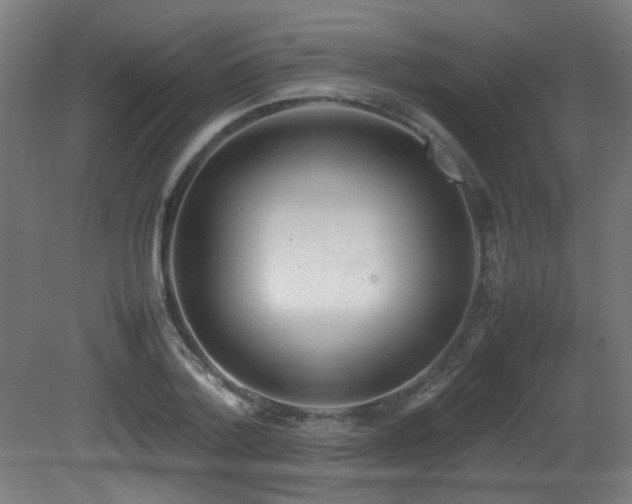 X0000081370788200701111546