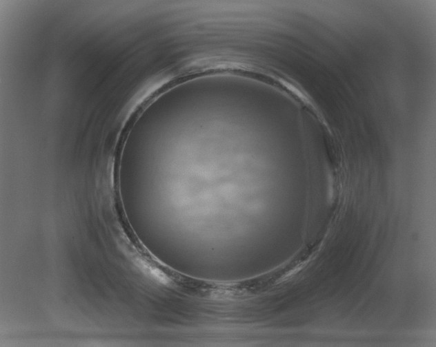 X0000081370790200701111546