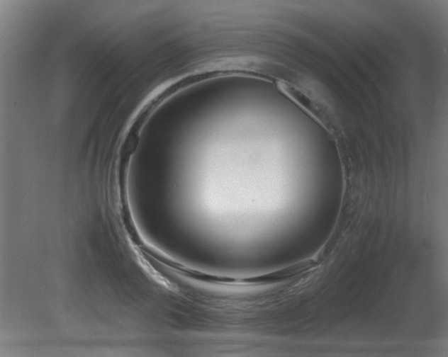 X0000081370792200701111546