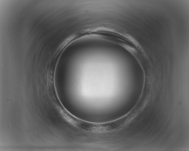X0000081370793200701111546