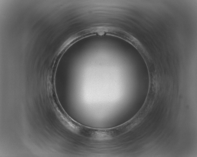 X0000081370794200701111546