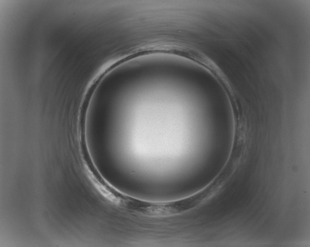 X0000081370795200701111546