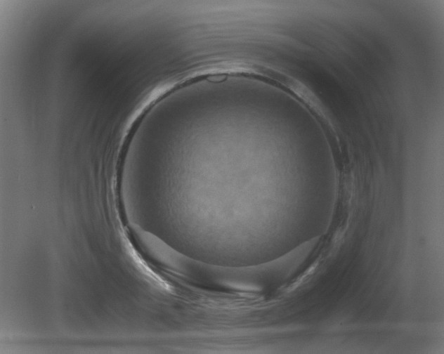 X0000081370797200701111546