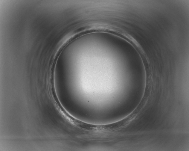 X0000081370799200701111546