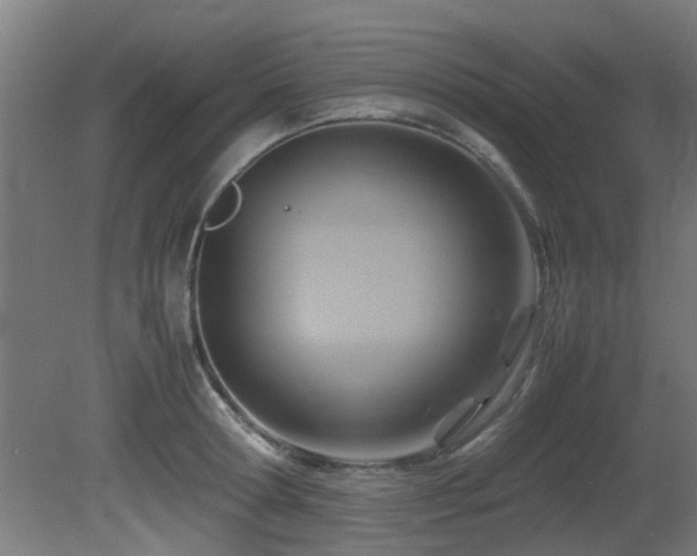 X0000081370802200701111546
