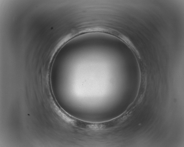 X0000081370805200701111546