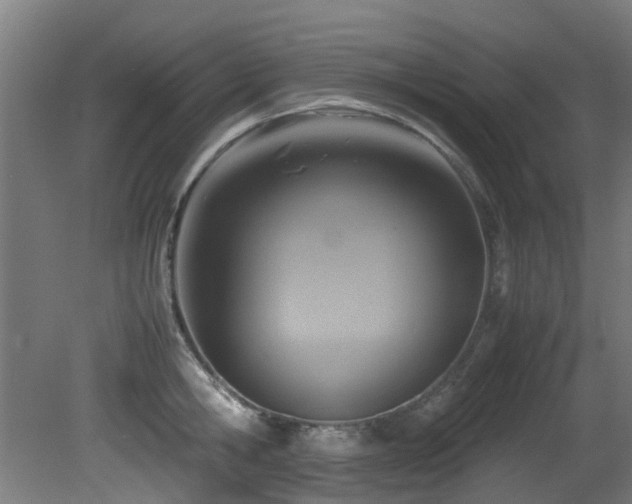 X0000081370806200701111546