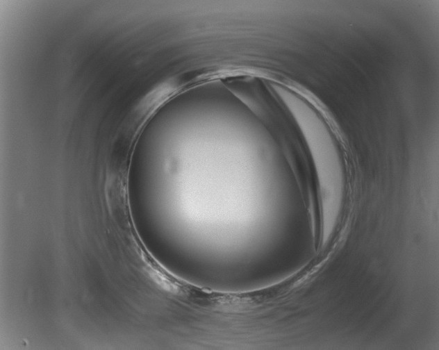 X0000081370809200701111546