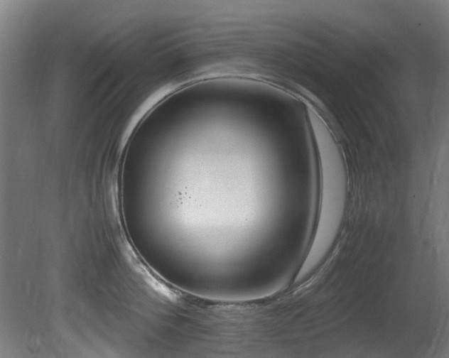 X0000081370812200701111546