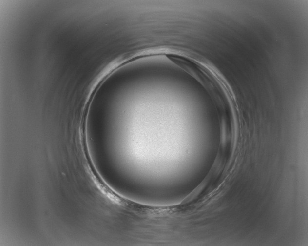 X0000081370813200701111546