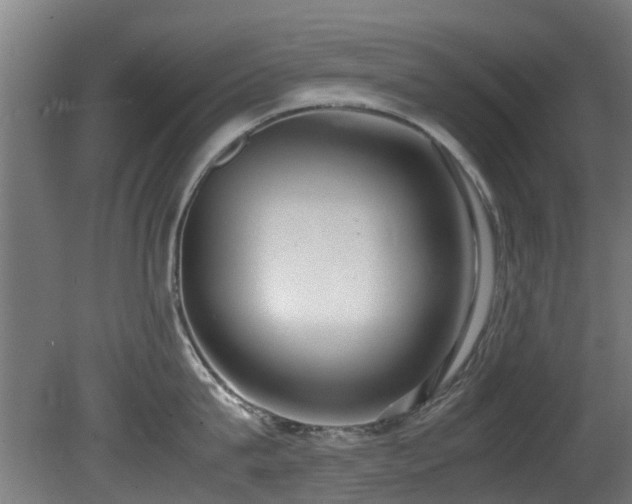 X0000081370815200701111546