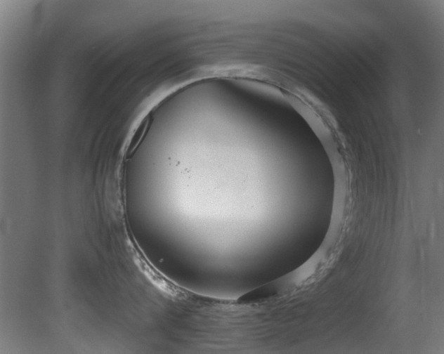 X0000081370816200701111546