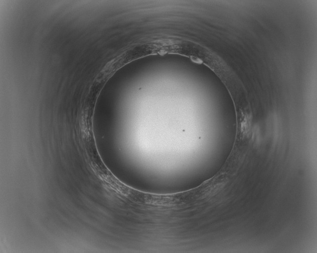 X0000081370819200701111545