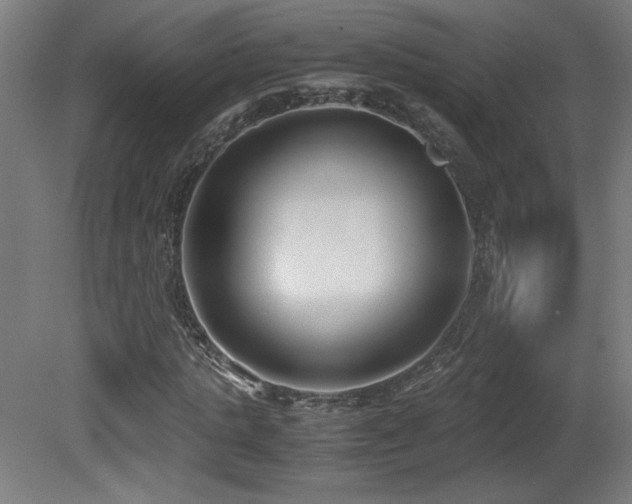 X0000081370821200701111545