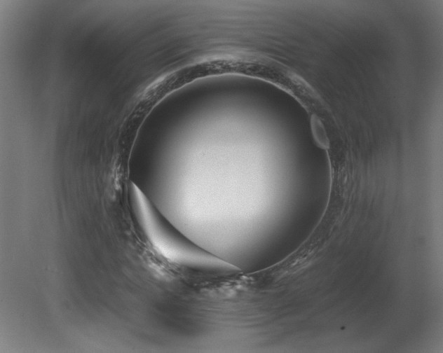 X0000081370822200701111545