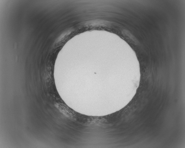 X0000081370824200701111545