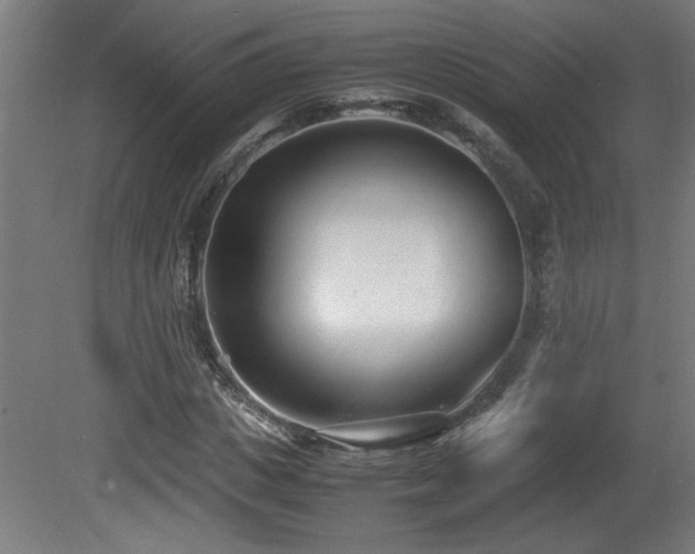 X0000081370825200701111545