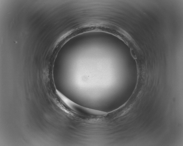 X0000081370826200701111545