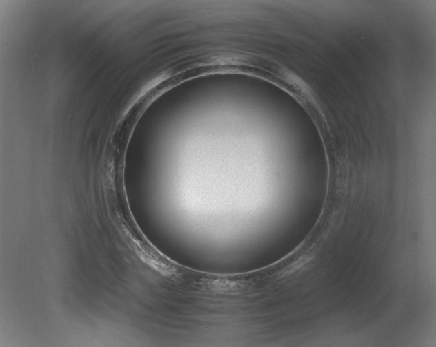 X0000081370827200701111545