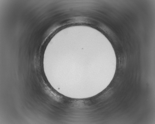 X0000081370828200701111545