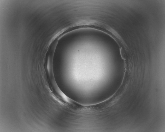 X0000081370834200701111545