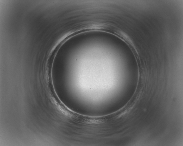X0000081370835200701111545