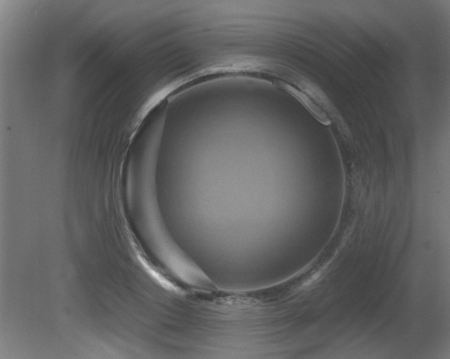 X0000081370842200701111546