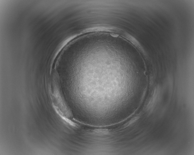 X0000081370844200701111546