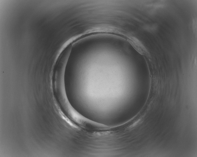 X0000081370846200701111546