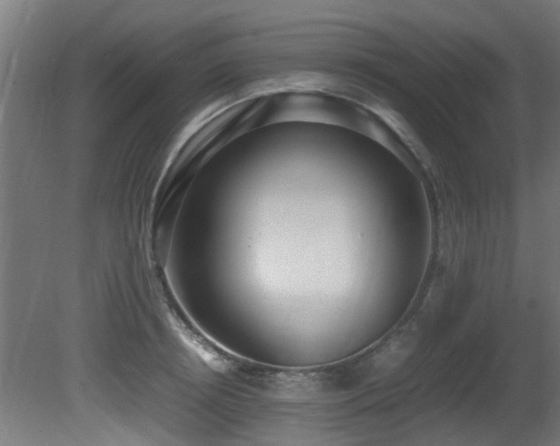 X0000081370850200701111546