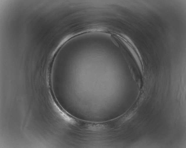 X0000081370851200701111546