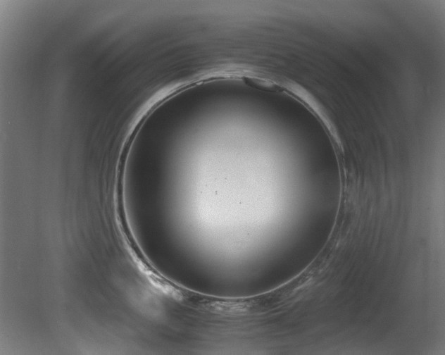 X0000081370861200701111546
